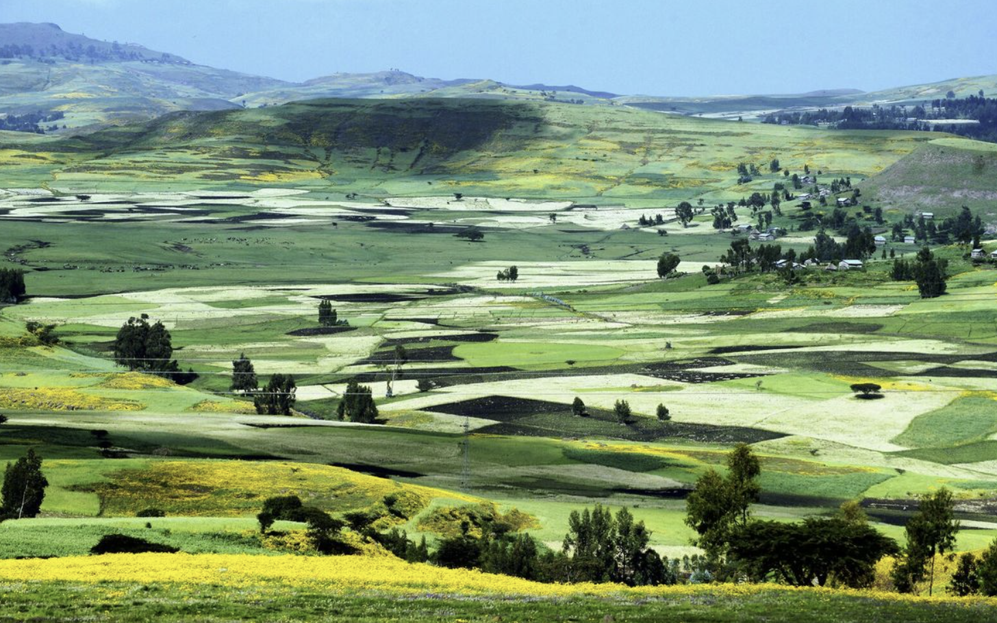 Ethiopia
